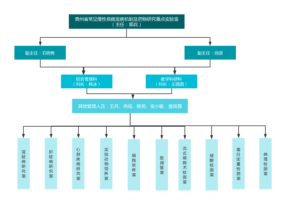 说明: wps